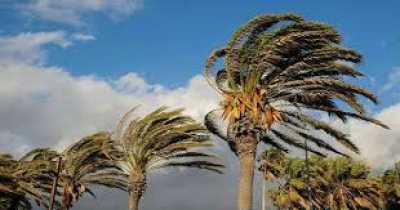 El Gobierno de Canarias finaliza las situaciones de prealerta y alerta por viento en el archipiélago