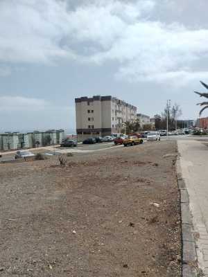 Servicios Municipales intensifica las labores de limpieza en Jinámar