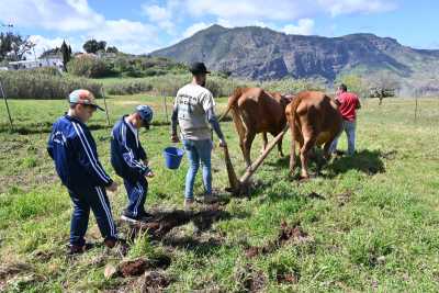 ‘Educa Rural’ cierra con éxito su cuarta edición con más de 300 escolares en Caideros