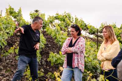 Los viñedos de Canarias llaman la atención de la prestigiosa AWINES