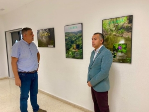 Noviembre forestal 2022 recala en Telde con la exposición divulgativa &#039;Campus Laurus&#039;