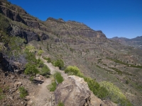 El Ayuntamiento adjudica la rehabilitación del sendero de La Solana