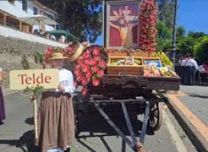 Telde ocupará la posición número 14 en la Ofrenda Romería a la Virgen del Pino 2025