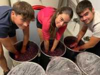 Estudiantes Erasmus franceses realizan sus prácticas en las bodegas de Canary Wine