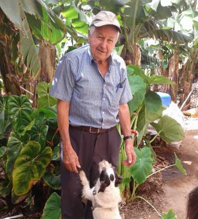 Fallece Francisco Domínguez Oliva, Pintadera de Oro de la Ciudad