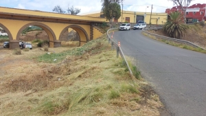 Operarios del Cabildo desarrollan tareas de desbroce del Barranco de Las Huertas