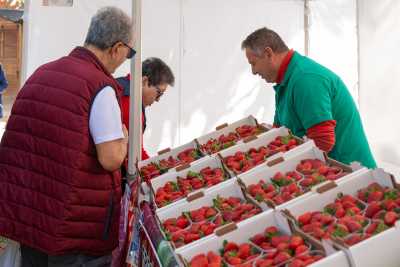 El Mercado Agrícola de Gáldar regresa este domingo en su segunda edición del año apostando por lo local