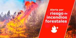 La Dirección General de Emergencias declara la situación de alerta por riesgo de incendios forestales