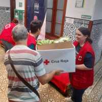 Cruz Roja apoyó a 2.477 familias vulnerables de Las Palmas en 2025