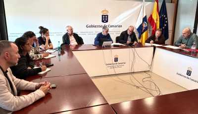 El Gobierno de Canarias estudia junto a ASOLICA nuevas medidas de apoyo al sector del olivar ante la caída de la producción