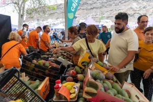 El verano sabe a mangos  y aguacates de Mogán