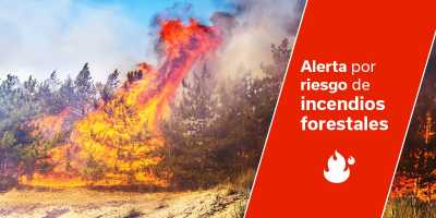 El Gobierno actualiza la situación pasando a alerta por riesgo de incendio forestal en Canarias
