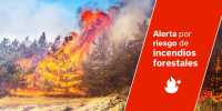 El Gobierno actualiza la situación pasando a alerta por riesgo de incendio forestal en Canarias