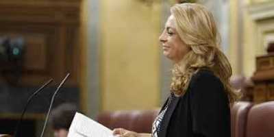 Valido exige al Estado el refuerzo de los puestos fronterizos de control “para que no entre ni una plaga más” en Canarias