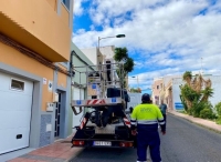 Las labores de mantenimiento de la arboleda se trasladan estos días a Las Medianías