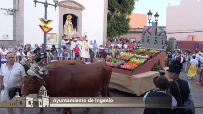 Carrizal celebra los actos principales de sus fiestas en honor a Nuestra Señora del Buen Suceso y San Roque