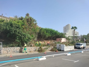 El Ayuntamiento limpia y recupera el paisaje verde del Anexo II y su ladera