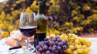 El Gobierno de Canarias concede las ayudas a la transformación, embotellado y comercialización exterior de vinos DOP