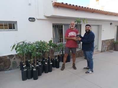 Mogán entrega 100 árboles de carambola a agricultores