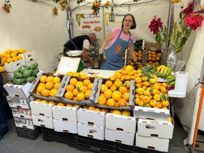 Más de 15.000 personas disfrutan de la XIII Feria de la Naranja de Telde