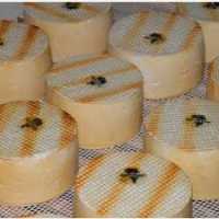 Dos quesos canarios, premiados en el campeonato nacional del Salón Gourmets 2026