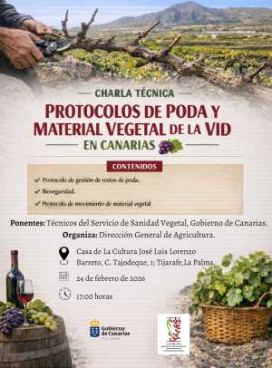 El Gobierno canario organiza charlas sobre los protocolos para evitar la propagación de la filoxera en época de poda