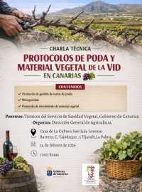 El Gobierno canario organiza charlas sobre los protocolos para evitar la propagación de la filoxera en época de poda