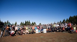 Gran Canaria celebra el día del árbol con una reforestación en Altos de Gáldar