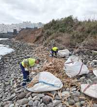 La Villa de Moya retira cerca de seis toneladas de residuos de su litoral en una actuación de limpieza y conservación ambiental