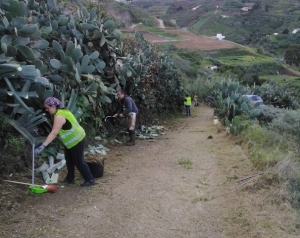 El Ayuntamiento de Guía pone en marcha el proyecto ‘Ruralia 2022’ destinado a la limpieza y mejora de las vías rurales y los espacios públicos