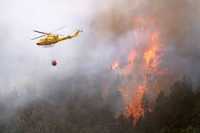 Telde recuerda las recomendaciones ante el riesgo extremo de incendios forestales
