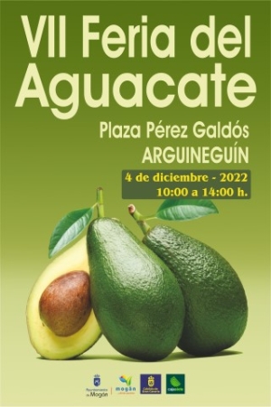 El aguacate de Mogán celebra su séptima feria este domingo