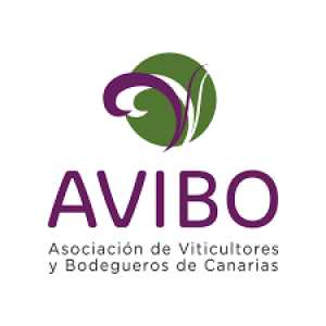 AVIBO denuncia la desproporción de las medidas adoptadas frente a la filoxera en Tenerife y reclama rigor científico en la gestión de la crisis