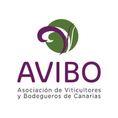 AVIBO denuncia la desproporción de las medidas adoptadas frente a la filoxera en Tenerife y reclama rigor científico en la gestión de la crisis
