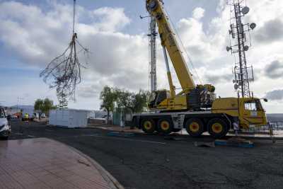 El Ayuntamiento acondiciona y retira maleza de una ladera inaccesible en Puerto Rico
