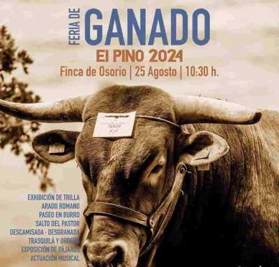 La Feria de ganado del Pino 2024 convoca a ganaderos de toda la isla el próximo domingo