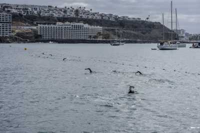 El Training Camp Classic celebra 21 años consolidando a Mogán como referente para el entrenamiento de triatlón