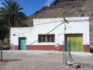 El Ayuntamiento licita las obras para la creación de una almazara en Veneguera