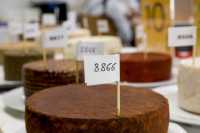 Cinco quesos canarios aspiran a convertirse en el mejor de España según el jurado de Gourmets 2026