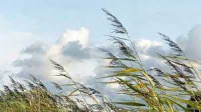 Telde ruega precaución a la ciudadanía ante la situación de alerta por vientos y fenómenos costeros adversos