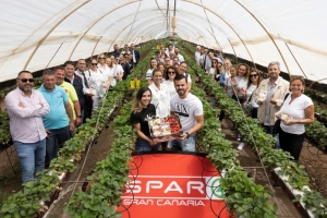 Spar Gran Canaria impulsa el consumo de la fresa de Valsequillo