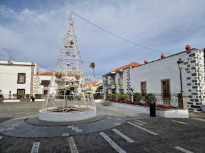 Telde se tiñe de rojo en Navidad con la instalación de más de 6.000 pascuas en sus calles