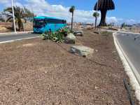 Parques y Jardines ejecuta trabajos de limpieza y mantenimiento en la mediana del vial costero