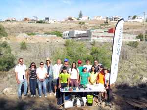 Jóvenes voluntarios luchan contra el rabo de gato en el Barranco de Fataga