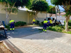 Los trabajos de mantenimiento de la arboleda se trasladan a Tablero del Conde