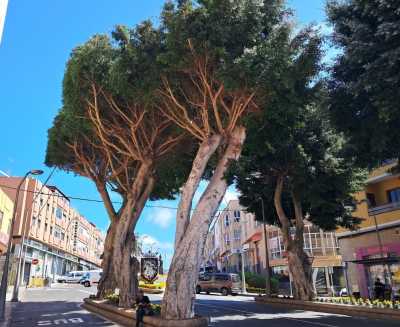 Parques y Jardines avanza en tareas de mantenimiento en la Bajada de Las Guayarminas