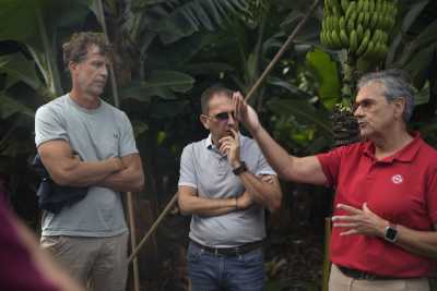 El Plátano de Canarias busca abrirse paso en el mercado italiano