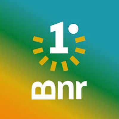 BNR-Primero Canarias lleva a Pleno su oposición al acuerdo con Mercosur sin protección al sector primario canario