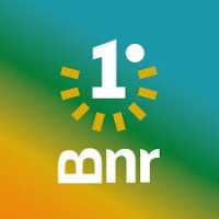 BNR-Primero Canarias lleva a Pleno su oposición al acuerdo con Mercosur sin protección al sector primario canario