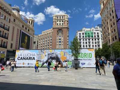 El Mes de Canarias se traslada a Madrid con la primera Gran Luchada oficial y la VIII Romería Canaria